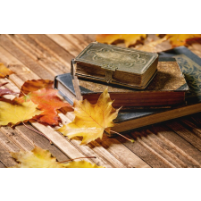  Összetétel 45 tapéta, 350 x 250 cm tapéta, díszléc és más dekoráció