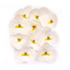  Ostyavirág Orchidea fehér 10 db alapvető élelmiszer