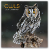 Owls - Eulen 2026 - 16-Monatskalender (Kalendář/Diář)