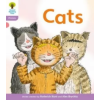 Oxford University Press Oxford Reading Tree: Level 1+: Floppy's Phonics Fiction: Cats – Roderick Hunt,Kate Ruttle