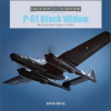 P-61 Black Widow: Northrop Night Fighter in WWII