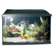 PACIFIC 50 akvárium 37,5 l 50x25x30cm teljes felszereléssel 1x15W Eco akvárium