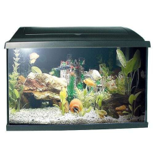  PACIFIC 50 akvárium 37,5 l 50x25x30cm teljes felszereléssel 1x15W Eco akvárium