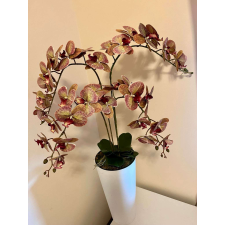  Padlóvázás orchidea 4 szálas csíkos különleges színű dekoráció