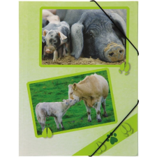 Pagna A4 PP gumis mappa - Farmon élő állatok mappa