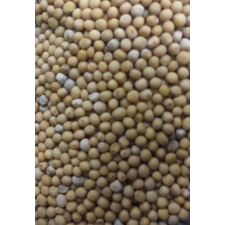 Paleolit Mustármag egész sárga 25kg lédig White mustard - Sinapis Alba alapvető élelmiszer