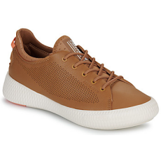 Palladium Rövid szárú edzőcipők PALLANOVA LTH Barna 39