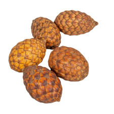  Pálma mag natúr 20dkg/csom dekorációs kellék