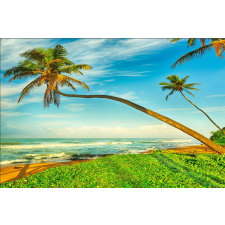  Pálmafák a tengerparton tapéta, 350 x 250 cm tapéta, díszléc és más dekoráció