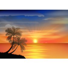  Palmieri9 matrica tapéta, 250 x 150 cm tapéta, díszléc és más dekoráció