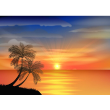  Palmieri9 matrica tapéta, 350 x 250 cm tapéta, díszléc és más dekoráció