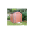 Palram - Canopia Skylight 6x8 barna