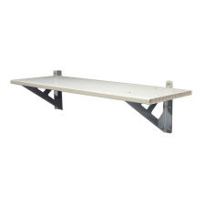 Palram Univerzális polc Palram Skylight kerti tárolókhoz, 84x30x22 cm kerti tárolás