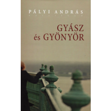Pályi András PÁLYI ANDRÁS - GYÁSZ ÉS GYÖNYÖR - ÜKH 2017 irodalom