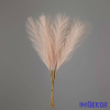  Pampafű műnövény 10 szálas köteg 56,5cm - Púder Bézs