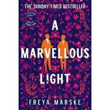 Pan MacMillan Marvellous Light | MARSKE,FREYA egyéb könyv
