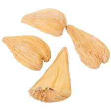  Páncélos vaddohány fehérített 10dkg/csom dekorációs kellék