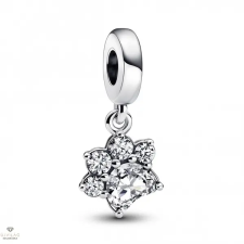 Pandora mancs charm - 792247C01 egyéb ékszer