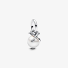 Pandora Moments 793687C01 (Ag925/1000, 1 g)