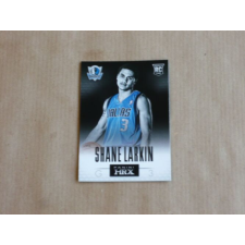 Panini 2013-14 Panini Prizm BK HRX #20 Shane Larkin gyűjthető kártya