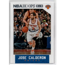 Panini 2015-16 Hoops #243 Jose Calderon gyűjthető kártya