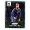 Panini 2016 Panini Uefa Euro Prizm Base #71 Niall McGinn