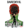 Panini Verlags GmbH Daredevil: Ein kalter Tag in der Hölle | Steve Mcniven