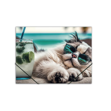 PANTA PLAST Chillout Cat A4 Gumis mappa - Mintás mappa