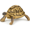 Papo Hermann Teknős Figura (401045)