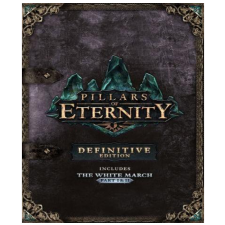 Paradox Interactive Pillars of Eternity - Definitive Edition (PC - Steam Digitális termékkulcs) videójáték