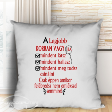  Párna születésnapra - Vicces ajándék lakástextília
