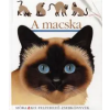 Pascale de Bourgoing A MACSKA - KIS FELFEDEZŐ ZSEBKÖNYVEK