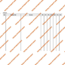 Pátria Nyomtatvány Decursus lap 203x140 mm nyomtatvány