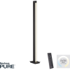 Paul Neuhaus modern állólámpa pure-lines antracit pln421-13