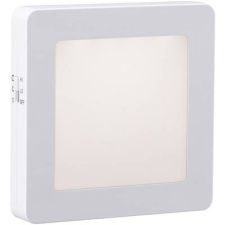 Paulmann Esby (92493) LED-es éjszakai fény Szögletes LED Melegfehér Fehér (92493) világítás