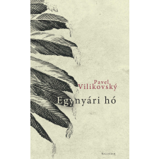Pavel Vilikovský - Egynyári hó irodalom