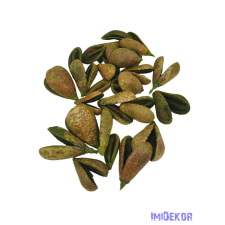  Pear pod 19dkg /csomag - Zöld dekorációs kellék