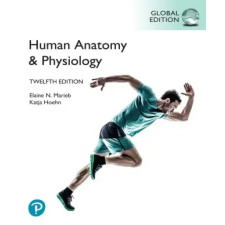 Pearson Education Limited Human Anatomy &amp; Physiology, Global Edition | Katja Hoehn egyéb könyv