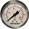 Pedrollo nyomásmérő 6 Bár 1/4' hátsó csatlakozású