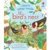 Peep Inside a Bird's Nest