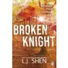 Penguin Books Broken Knight (All Saints High Series, Book 2)