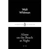 Penguin Books On the Beach at Night Alone | Walt Whitman