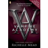 Penguin Random House Children's UK Vampire Academy (book 1) | Richelle Mead