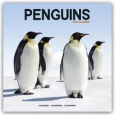 Penguins Calendar 2024 Square Animal Wall Calendar - 16 Month naptár, kalendárium