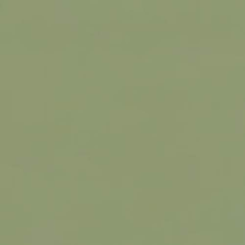  Pentart matt akrilfesték 20 ml tövis akrilfesték