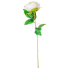  Peónia szálas krém 55cm