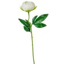  Peónia szálas krém M48cm 36db/# dekorációs kellék