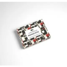 Pepin press Bauhaus – Pepin Van Roojen idegen nyelvű könyv