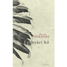 PESTI KALLIGRAM KFT Egynyári hó regény