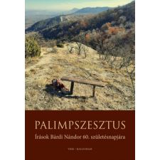 Pesti Kalligram Palimpszesztus történelem